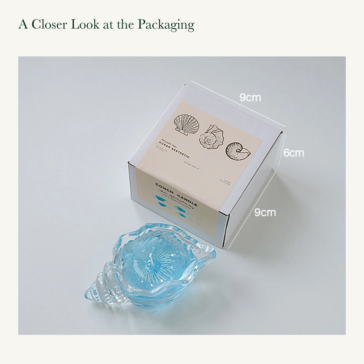 Small conch-shaped glass candle beside its original shell-illustrated box labeled 9 by 9 by 6 centimeters.
